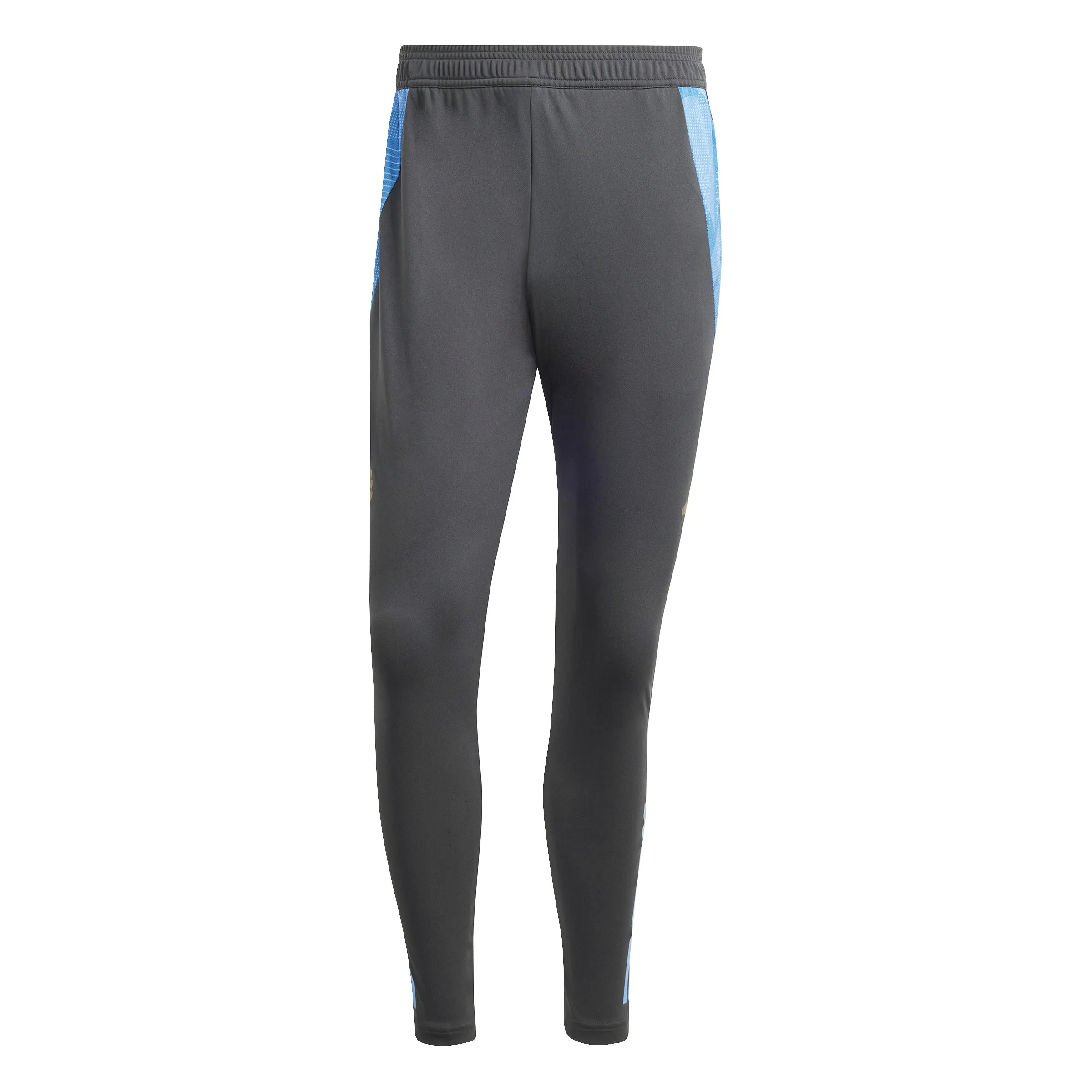 Argentina Adult 2024/25 Training Pants