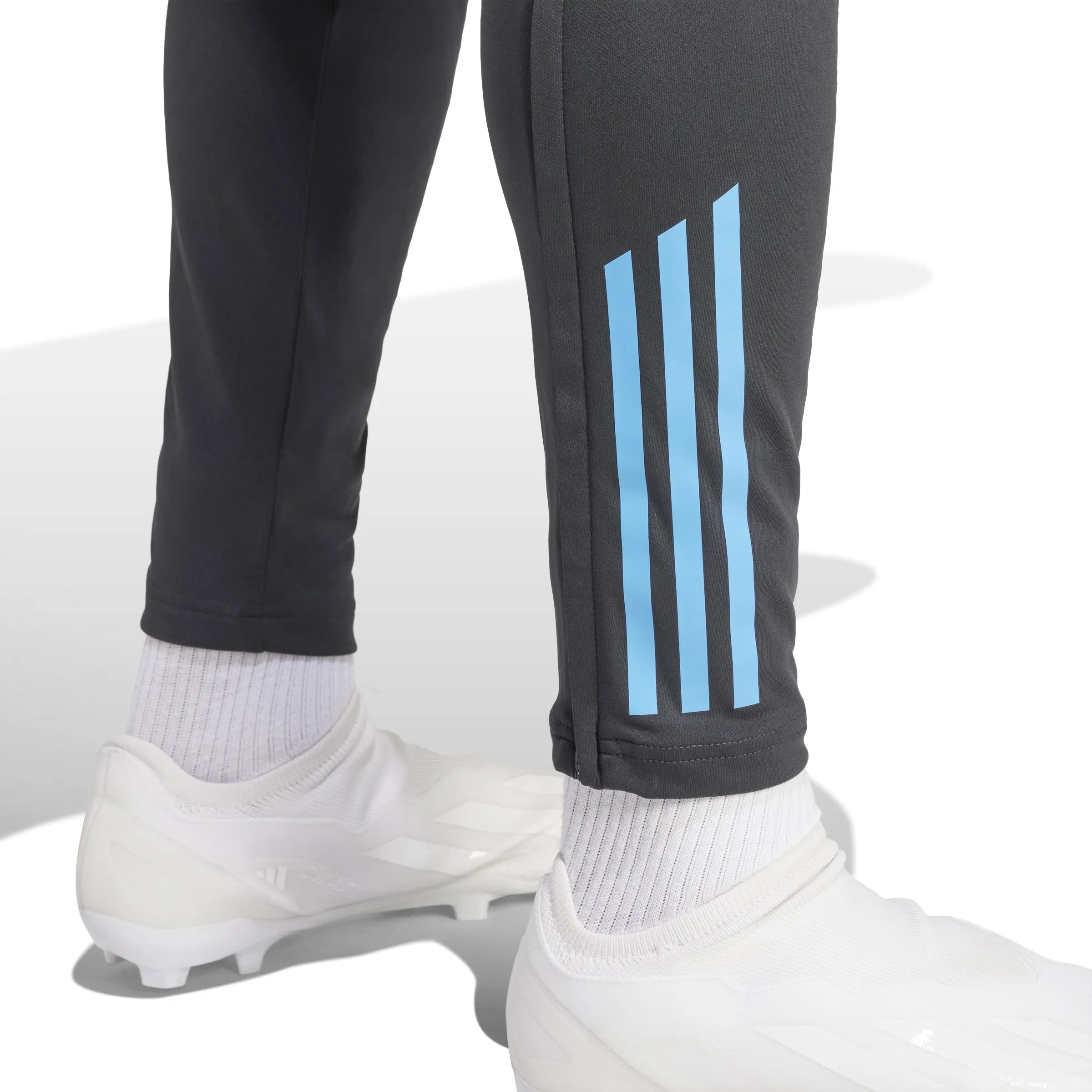 Argentina Adult 2024/25 Training Pants