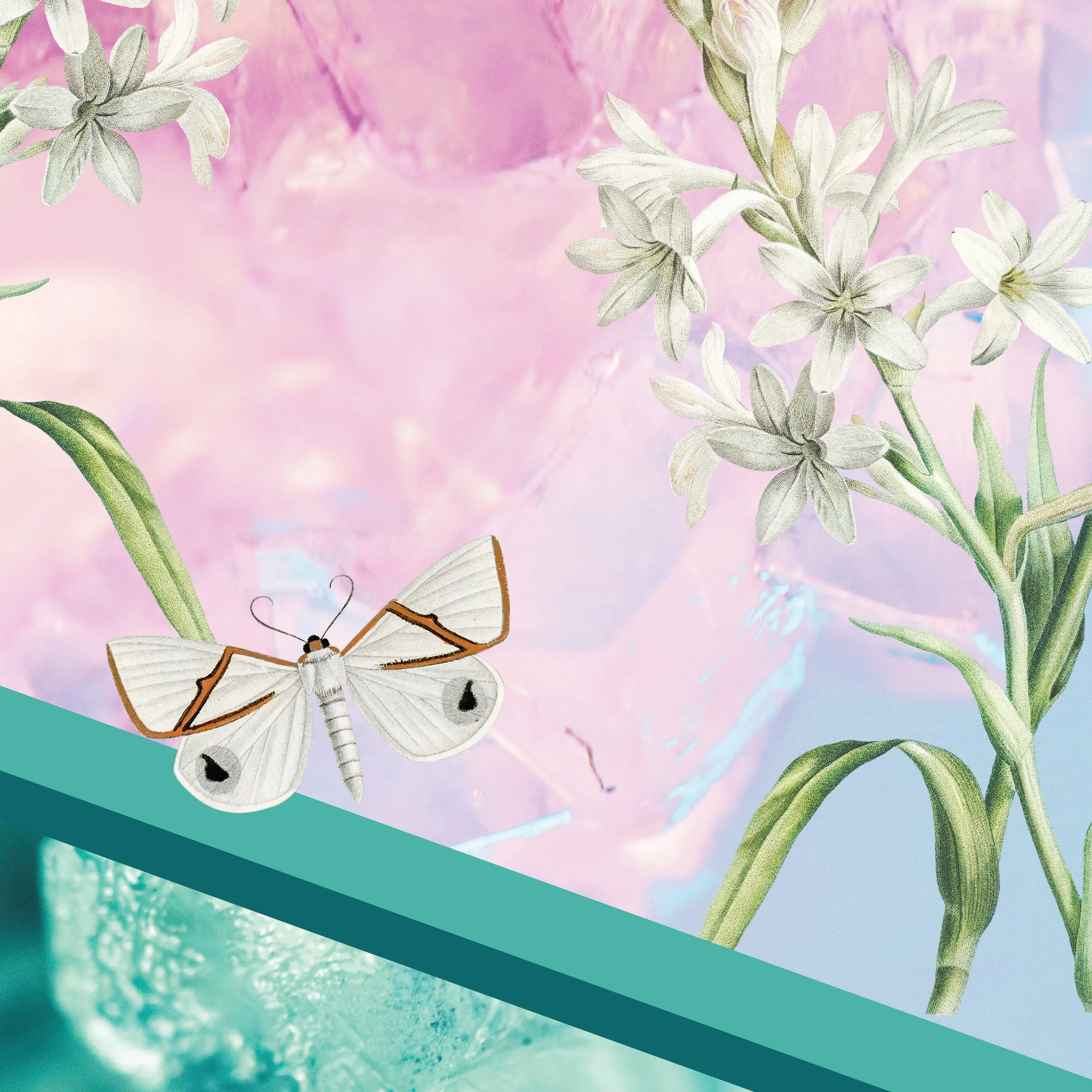 Crystal Fly