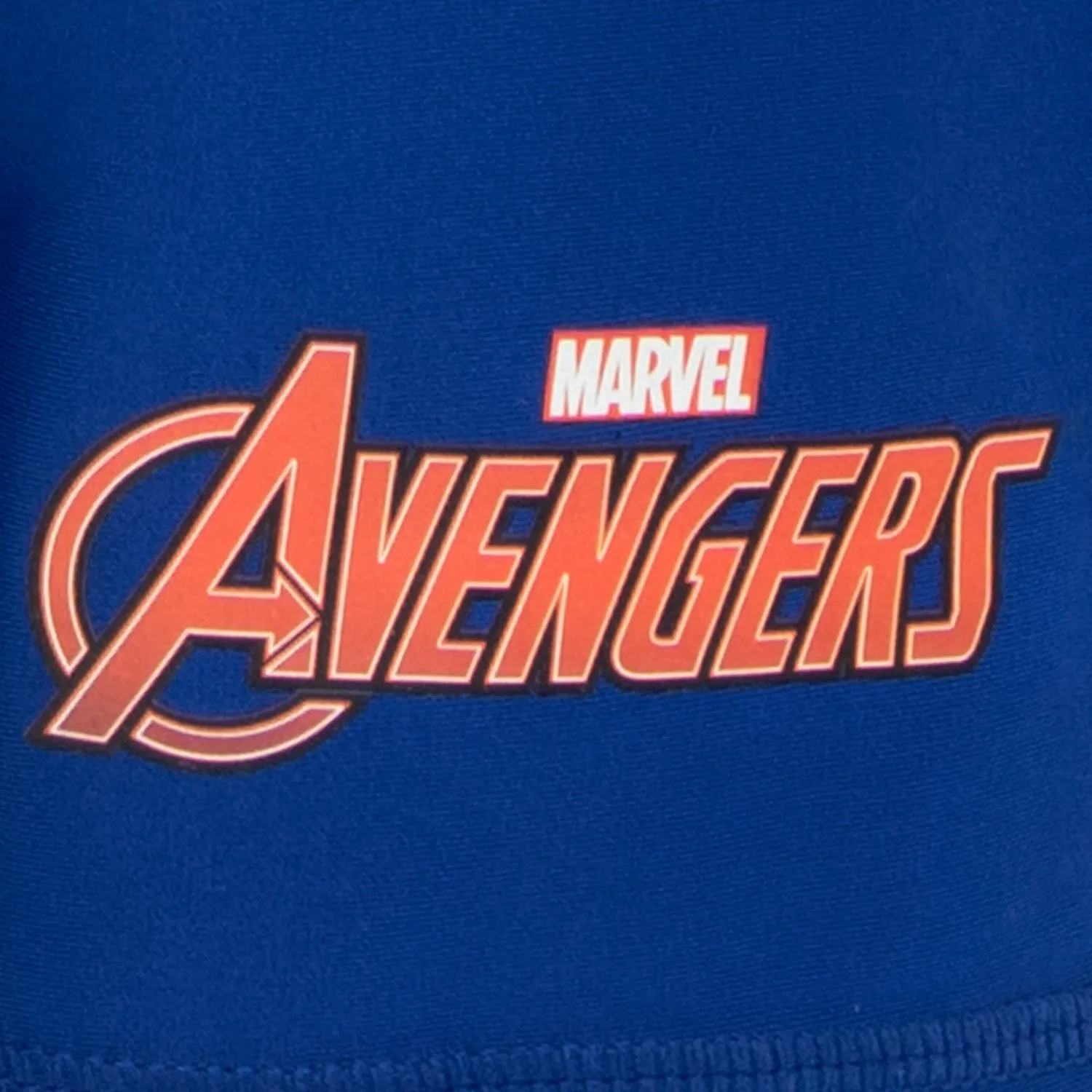 Marvel Avengers Two Piece Swim Set