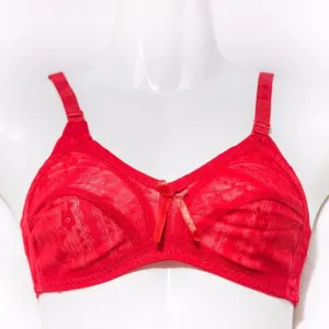 Net Non Padded Bra - Red - See Through Bra