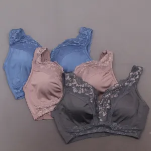 Rhonda Shear 3 Pack Betty Pin-Up Bras with Pads and Adjustable Back Dustys Large