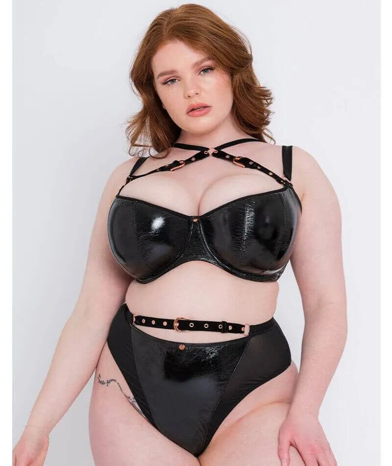 Scantilly Buckle Up Padded Half Cup Bra - Black
