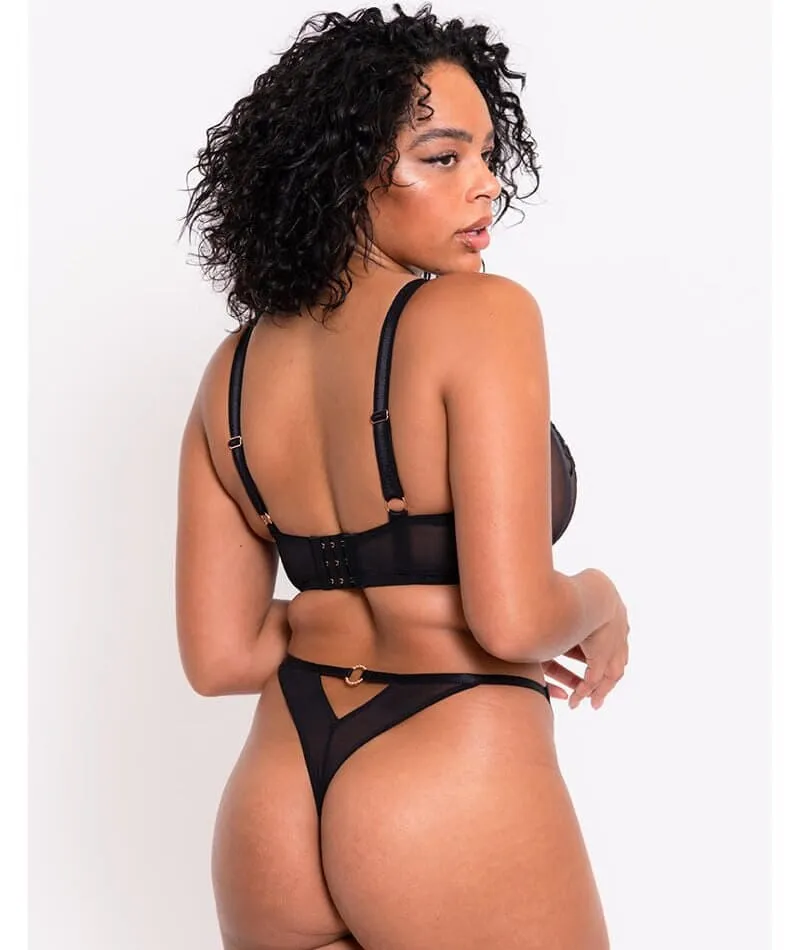 Scantilly Ornate Balcony Bra - Black