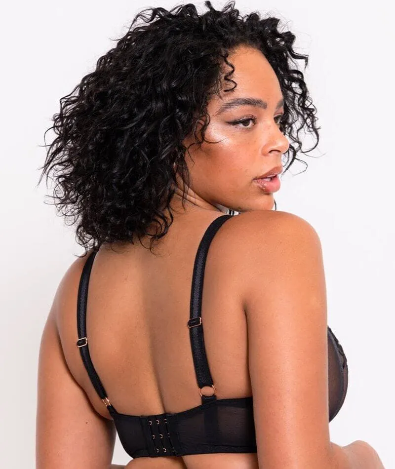 Scantilly Ornate Balcony Bra - Black