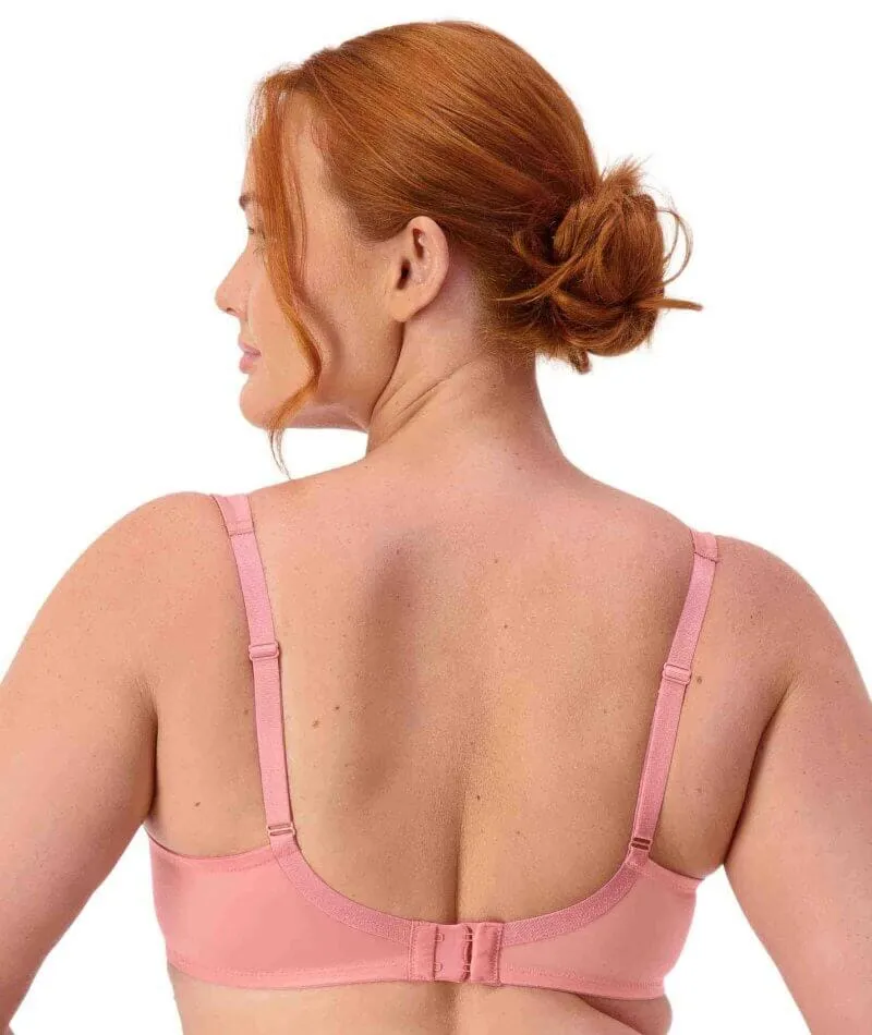 Triumph Lacy Minimizer 2 Pack Bra - Toasted Almond/Cherry Rose