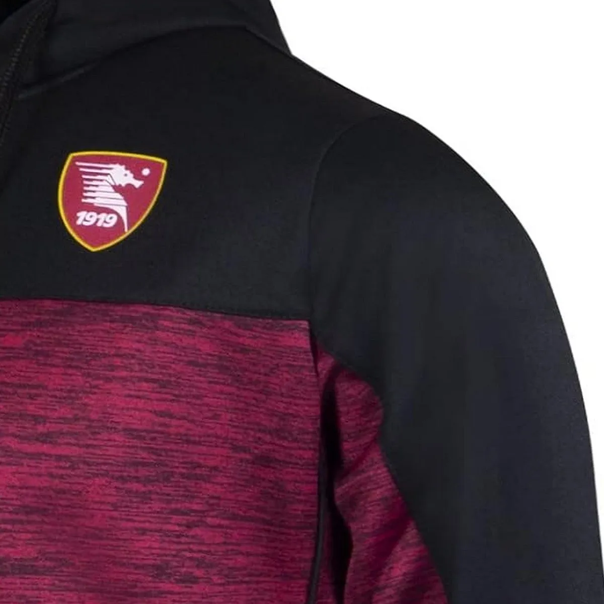 US Salernitana training presentation Soccer Tracksuit 2021 - Zeus